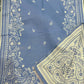 Powder Blue & Ivory Paisley Reversible Woolen Wrap